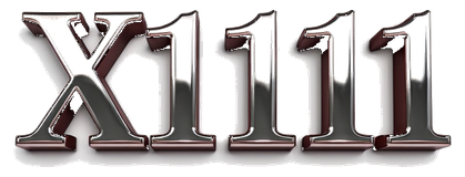 x1111 logo